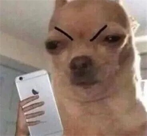 微信图片_2025-09-19_172920_599.jpg 微信图片_2025-09-19_172920_599.jpg