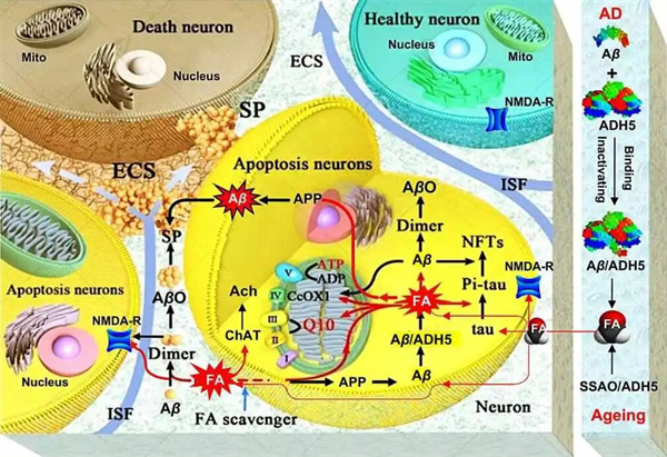 640 (4).jpg 640 (4).jpg
