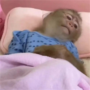 微信图片_2025-09-23_102106_397.jpg 微信图片_2025-09-23_102106_397.jpg