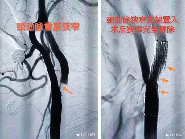 未标题-1.jpg 未标题-1.jpg