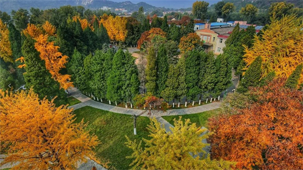 微信图片_20211207144223.jpg 微信图片_20211207144223.jpg