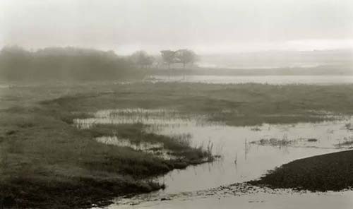 微信图片_20220328095918.jpg 微信图片_20220328095918.jpg