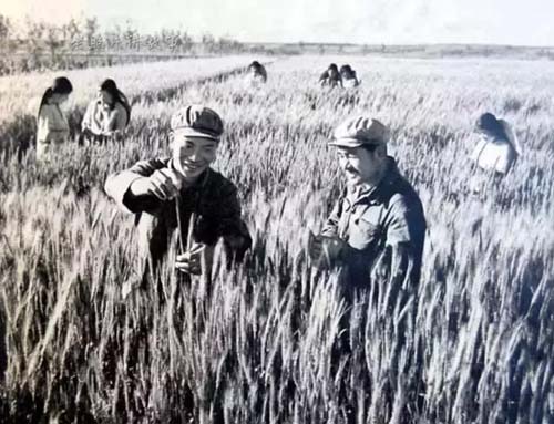 微信图片_20220328095921.jpg 微信图片_20220328095921.jpg