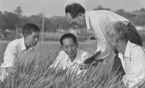 微信图片_20220331092115.jpg 微信图片_20220331092115.jpg