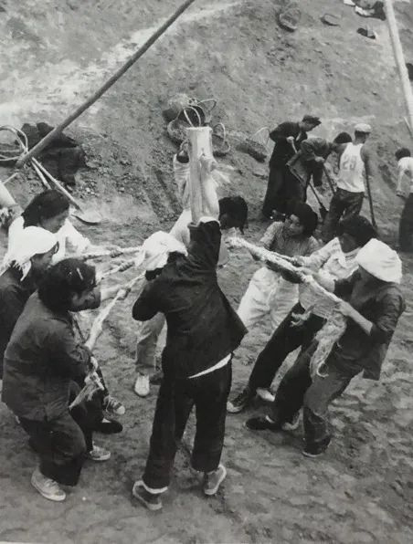 微信图片_20220426112935.jpg 微信图片_20220426112935.jpg