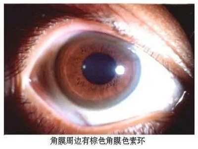 微信图片_20220822171403.jpg 微信图片_20220822171403.jpg