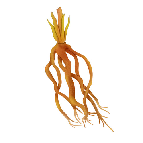 微信图片_20221107134007.jpg 微信图片_20221107134007.jpg