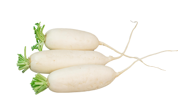 微信图片_20221122145413.png 微信图片_20221122145413.png