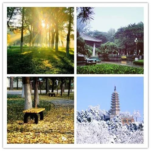 微信图片_20221130134958.jpg 微信图片_20221130134958.jpg