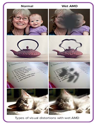 微信图片_20230118101702.jpg 微信图片_20230118101702.jpg