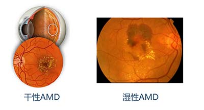 微信图片_20230118101706.jpg 微信图片_20230118101706.jpg