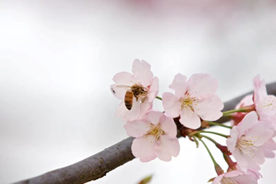 微信图片_20230322093420.jpg 微信图片_20230322093420.jpg