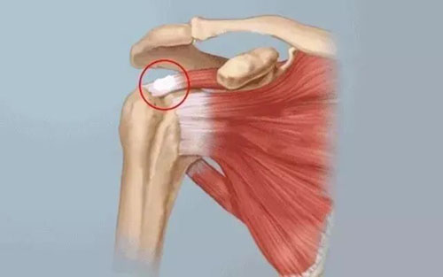 微信图片_20230505090250.jpg 微信图片_20230505090250.jpg