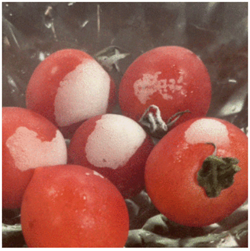 微信截图_20230817143643.gif 微信截图_20230817143643.gif