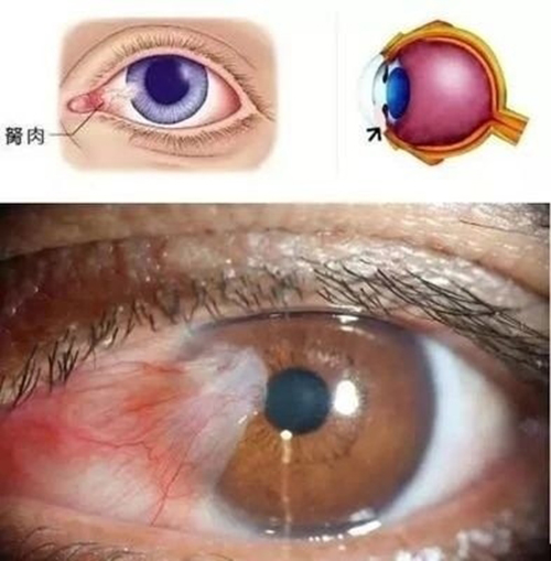 微信图片_20240429173600.jpg 微信图片_20240429173600.jpg