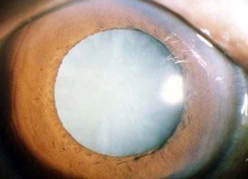 微信图片_20240429173603.jpg 微信图片_20240429173603.jpg