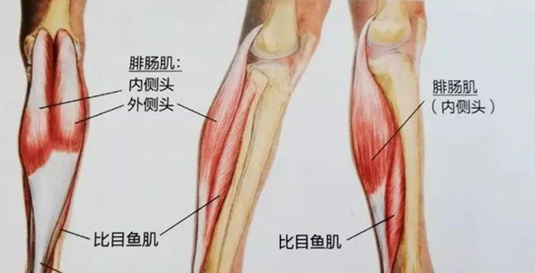 微信图片_20240507094313.jpg 微信图片_20240507094313.jpg