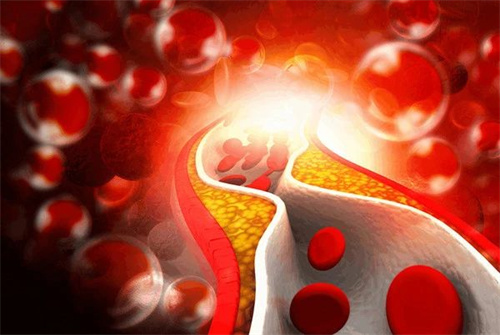 微信图片_20240618093259.jpg 微信图片_20240618093259.jpg