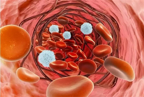 微信图片_20240618093302.jpg 微信图片_20240618093302.jpg