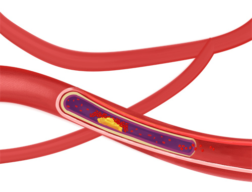 微信图片_20240618093304.jpg 微信图片_20240618093304.jpg