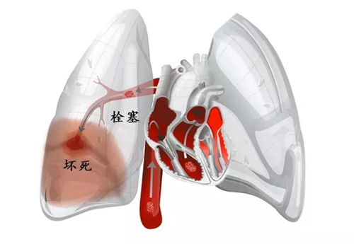 微信图片_20240826092706.jpg 微信图片_20240826092706.jpg