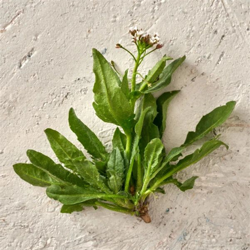 微信图片_20250311093501.jpg 微信图片_20250311093501.jpg