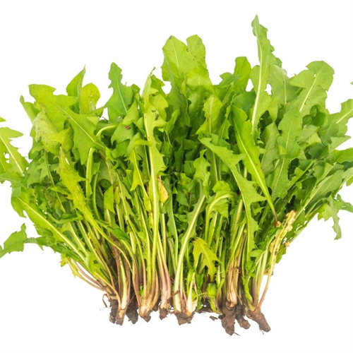 微信图片_20250311093504.jpg 微信图片_20250311093504.jpg