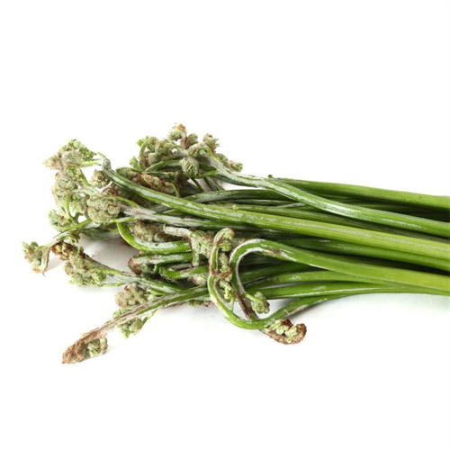 微信图片_20250311093512.jpg 微信图片_20250311093512.jpg