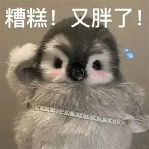 微信图片_20250313103400.jpg 微信图片_20250313103400.jpg