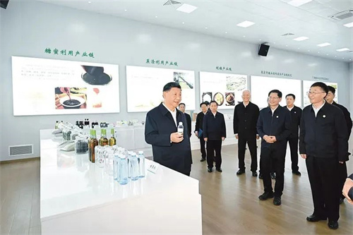 微信图片_20250319115031.jpg 微信图片_20250319115031.jpg