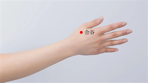 微信图片_20250519093427.jpg 微信图片_20250519093427.jpg