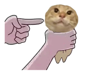 微信图片_20250519093528.jpg 微信图片_20250519093528.jpg