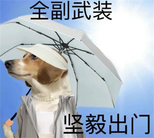 微信图片_20250619093015.jpg 微信图片_20250619093015.jpg