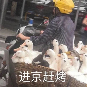 微信图片_20250711085812.jpg 微信图片_20250711085812.jpg