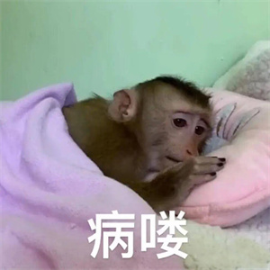 微信图片_2025-11-24_161614_879.jpg 微信图片_2025-11-24_161614_879.jpg