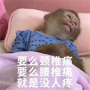 微信图片_2026-02-28_101342_832.jpg 微信图片_2026-02-28_101342_832.jpg