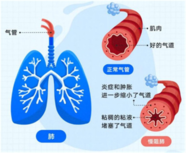 微信图片_2026-04-08_173455_583.jpg 微信图片_2026-04-08_173455_583.jpg